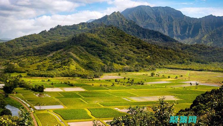 安阳风水宝地的阴暗面：龙脉之争与怨气冲天 (安阳风水宝地有哪些)