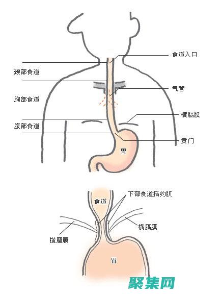 织梦的解剖学：了解梦境的结构和特征 (织梦是啥)