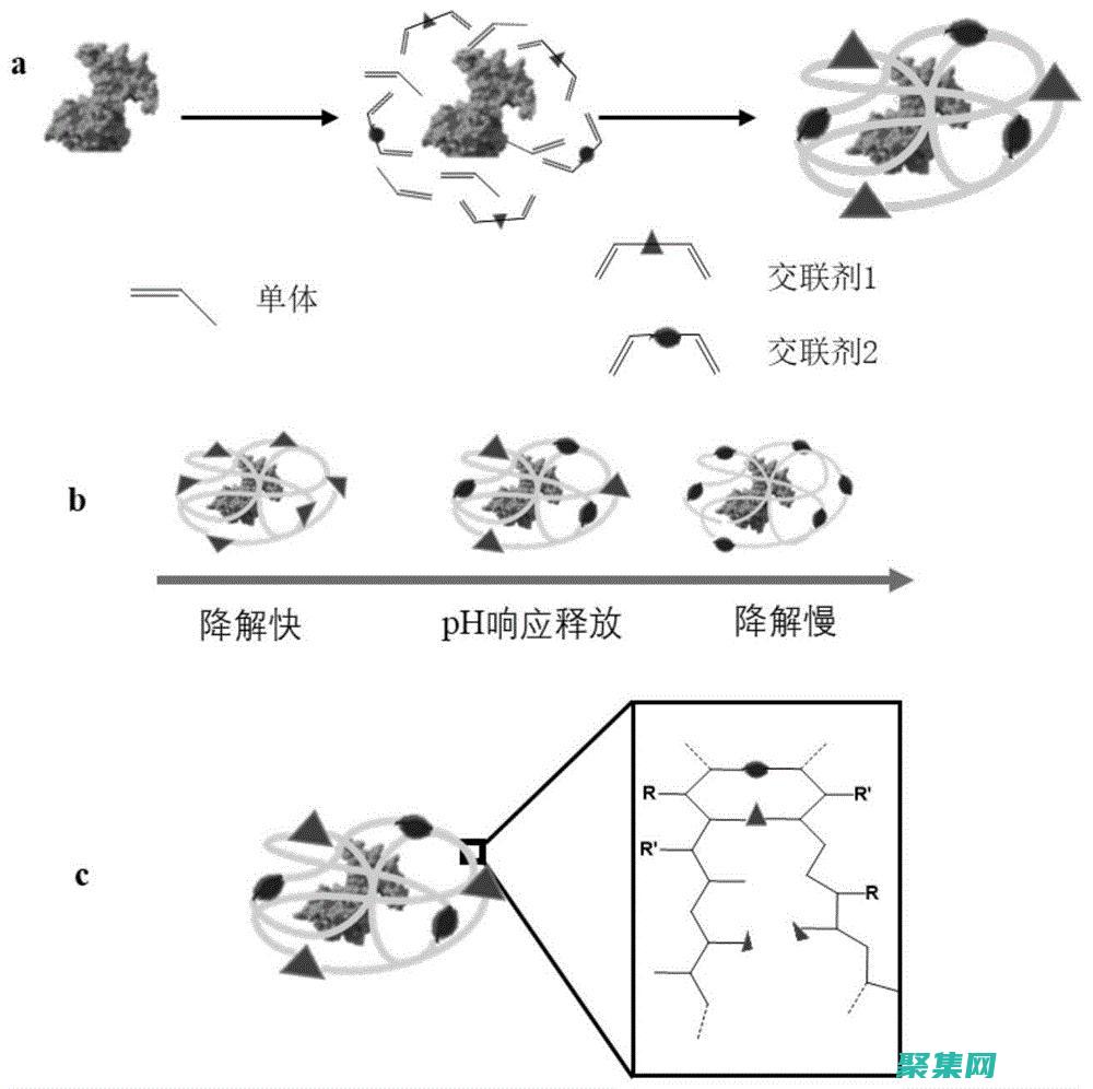 释放 Java 编程的力量，尽情享受免费学习的乐趣 (java如何释放对象)