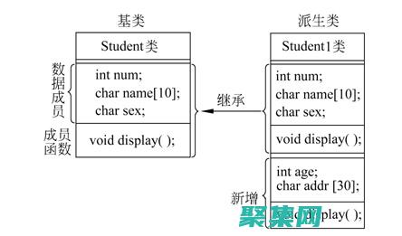 继承和多态性(继承和多态性的区别)