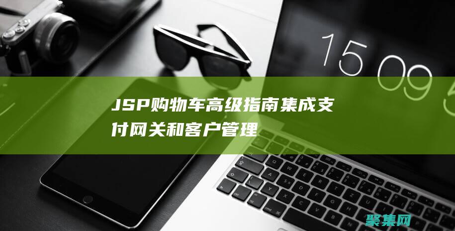 JSP高级指南集成支付网关和客户管理