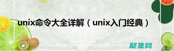 UNIX 网络编程的全面指南：从基础到高级概念 (UNIX网络编程)