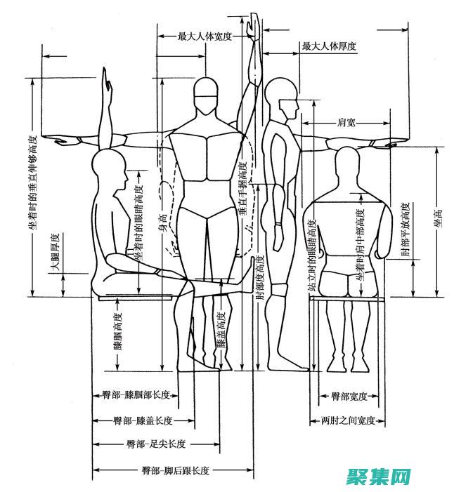 尺度函数在生物学中的意义：从蛋白质结构到生态系统 (尺度函数在生活中应用)