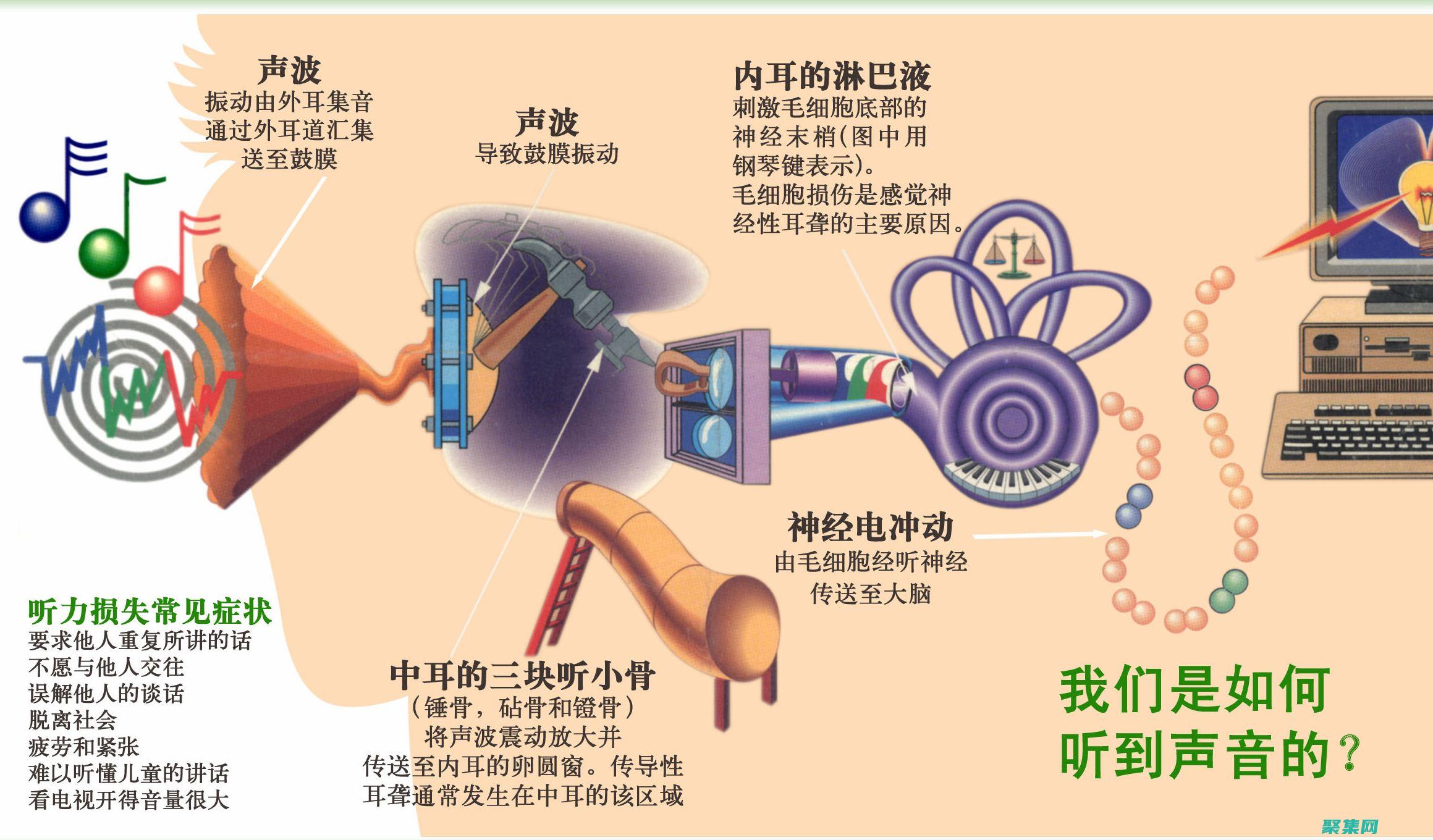 声音与音乐