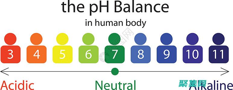 为您的 PHP 应用选择最佳主机空间：关键因素和要考虑的事项 (为您的健康保驾护航的优美句子)