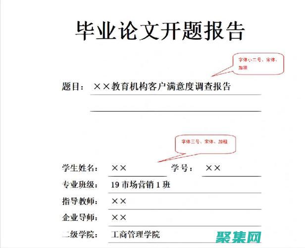 高效报告制作的秘密：FastReport 3.0 中的可自定义设计和强大的数据源 (高效报告制作流程)