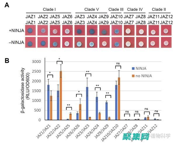 如何在 Java 中轻松调用 Web 服务：分步指南 (如何在java用for循环求和)