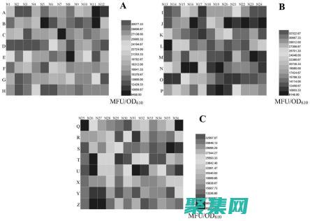 探索 fprintf 的强大功能：在 C 中控制输出格式 (探索后妈的桃花源作文)