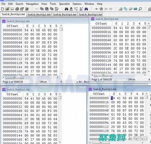 使用 DatabaseMetadata 揭示数据库模式：建立您的理解 (使用DATEDIF计算工龄)