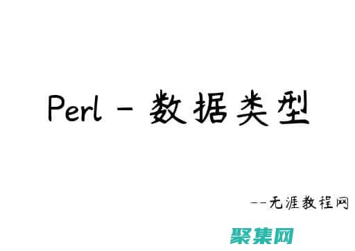 Perl 的未来展望，探索其持续发展和在现代编程中的应用 (perl ne)