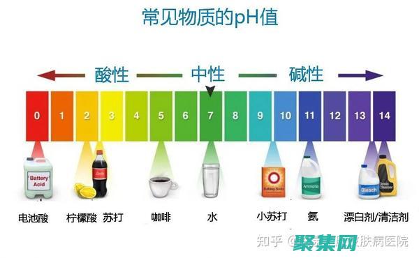 深入了解PHPinArray：加快数组处理速度的秘密 (深入了解pcr技术的原理及研究成果)