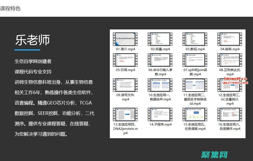 Perl 语言：无所畏惧的脚本高手指南 (perl语言是什么)