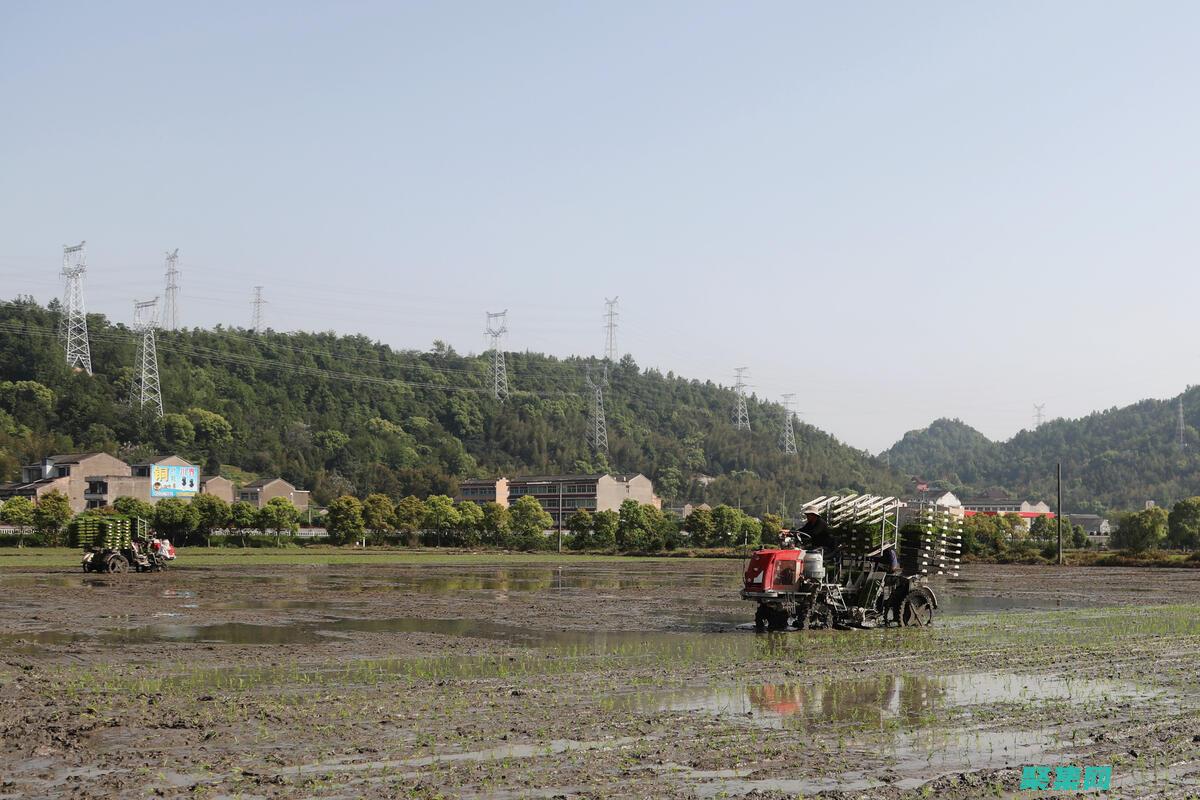 提高效率：插件可以自动化繁琐的任务，例如垃圾邮件过滤和用户管理，提高论坛运维效率。(提高 效率)