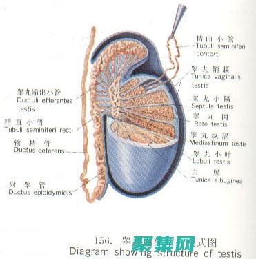 拆解 JSONDecode：一步步解析 JSON 数据的指南 (拆解JSS48A—S时间继电器视频)