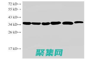 使用 Eclipse 3.4 构建高性能、可扩展的应用程序 (使用eclipse开发java程序的步骤是什么?)