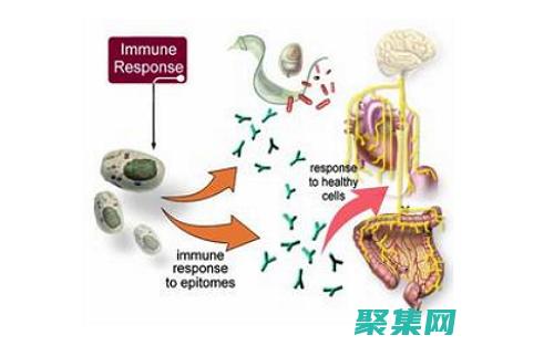 免疫调节：乌龟肉中含有免疫调节物质，可增强机体免疫力，提高抗病能力。(免疫调节作用)