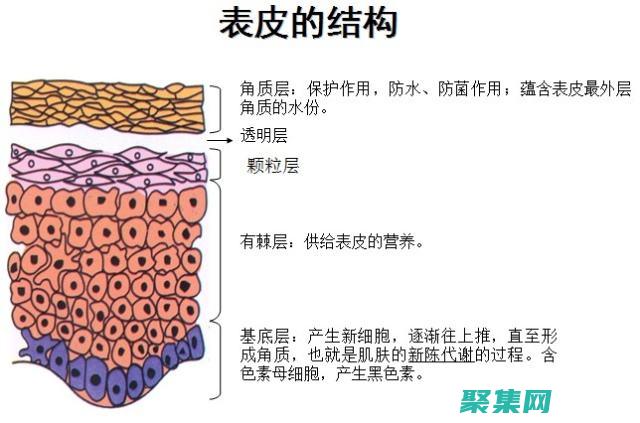 图像处理的基础：从 imread 到图像操作实战 (图像处理的基本特征是什么)