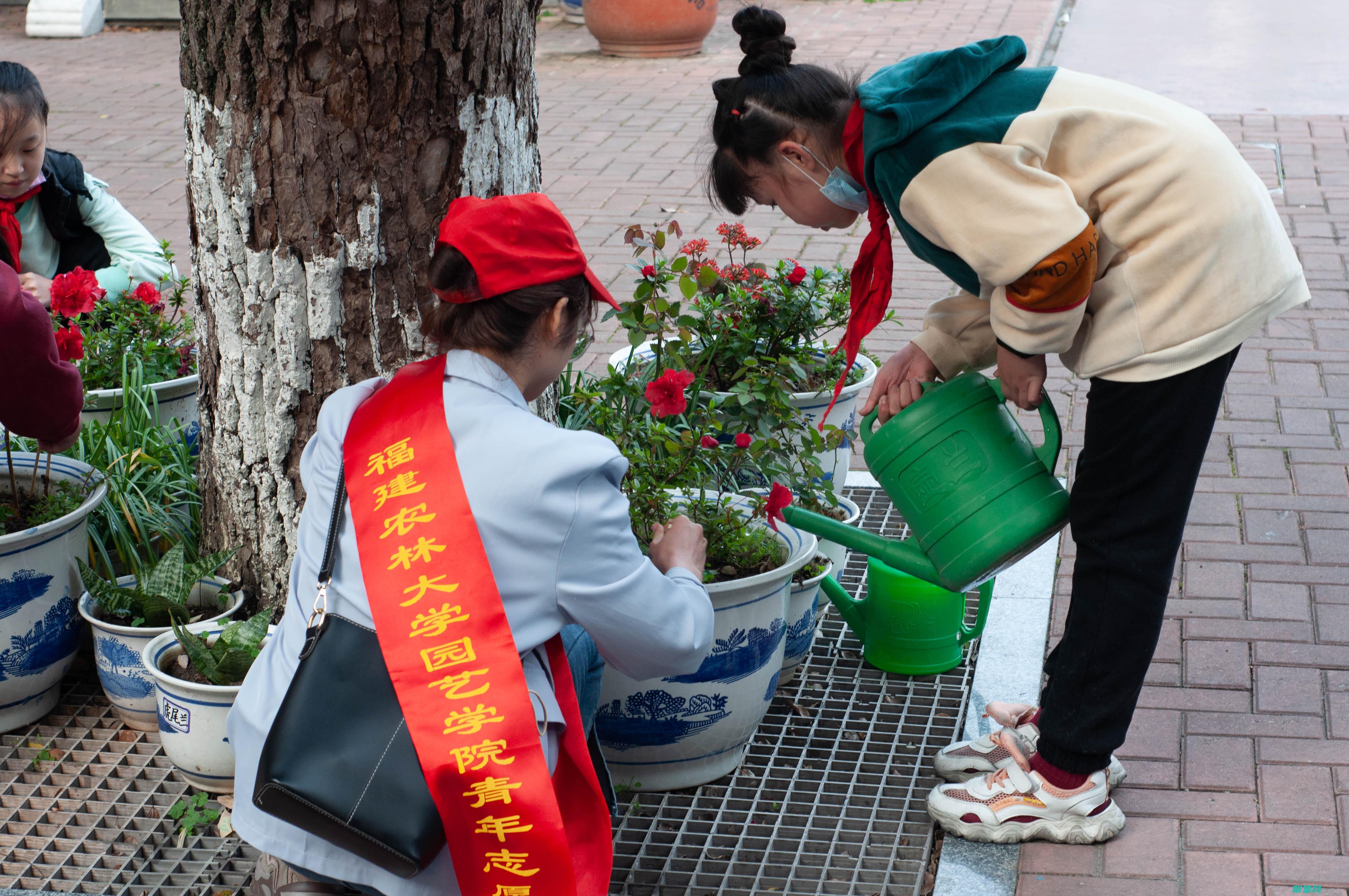 在实践中学习大数据编程