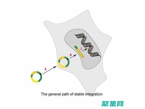 揭秘 StretchBlt：从原理到实践的深入探索 (揭秘st洲际的背景)