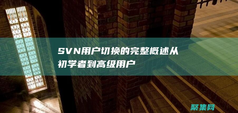 SVN 用户切换的完整概述：从初学者到高级用户 (svn用户切换)