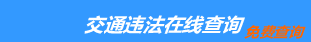 （手机版）广西交通违章查询-广西违章查询网