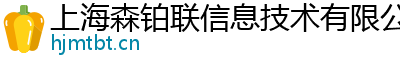 上海森铂联信息技术有限公司