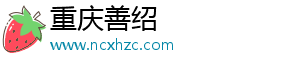 重庆善绍电子商务有限公司