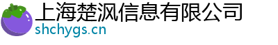 上海楚沨信息有限公司