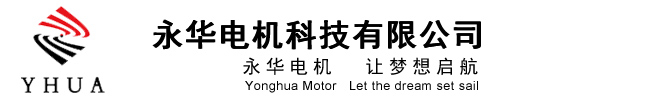 安徽电机,YE3铝売电机,YEJ制动电机,YD多速电机,YKK高压电机-安徽永华电机科技有限公司