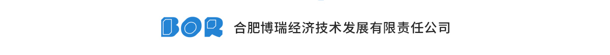 合肥博瑞经济技术发展有限责任公司