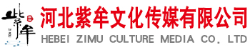 石家庄户外广告发布_石家庄LED广告_跨桥广告_楼体广告_动漫设计_工地围挡-河北紫牟文化传媒有限公司