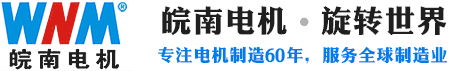 保定皖南电机_邯郸皖南电机_河北皖南电机-皖南电机