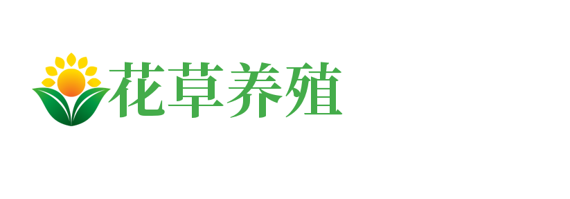 传奇私服发布网-热血传奇sf-新开传奇私服网站