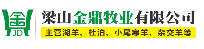 梁山金鼎牧业有限公司_湖羊,杜波绵羊,波尔山羊,黑山羊,青山羊,小尾寒羊