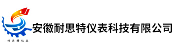 安徽耐思特仪表科技有限公司