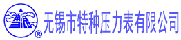 30年压力表行业领航者,压力表生产厂家-无锡市特种压力表有限公司