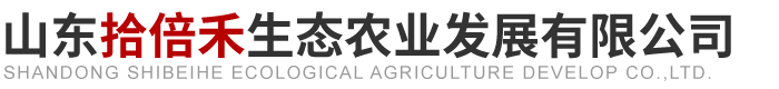 山东蔬菜种植_初农产品收购及园艺产品种植厂家 - 山东拾倍禾生态农业发展有限公司