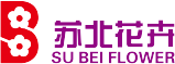 江苏苏北花卉股份有限公司、苏北花卉官网、江苏苏北花卉热线：400 9922 699