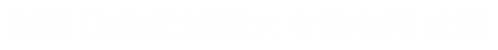 张家口市武城街大市场有限公司