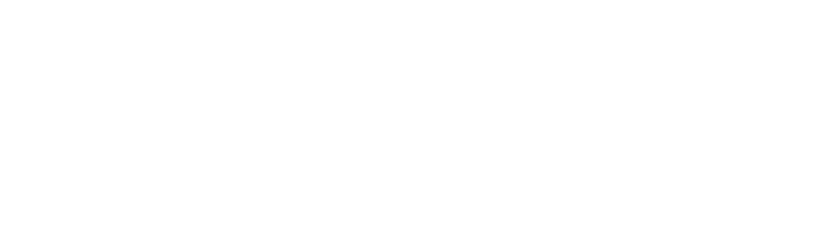 上海新数网络科技股份有限公司 - 首页