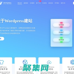 WordPress主题插件开发建站|沃之涛科技