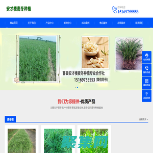 曹县安才楼麦冬种植专业合作社